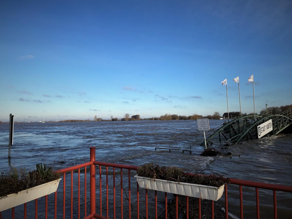 Rheinhochwasser Januar 2018