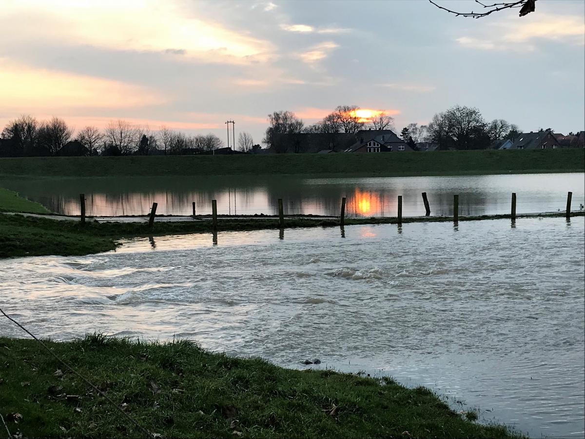 Rheinhochwasser Januar 2018